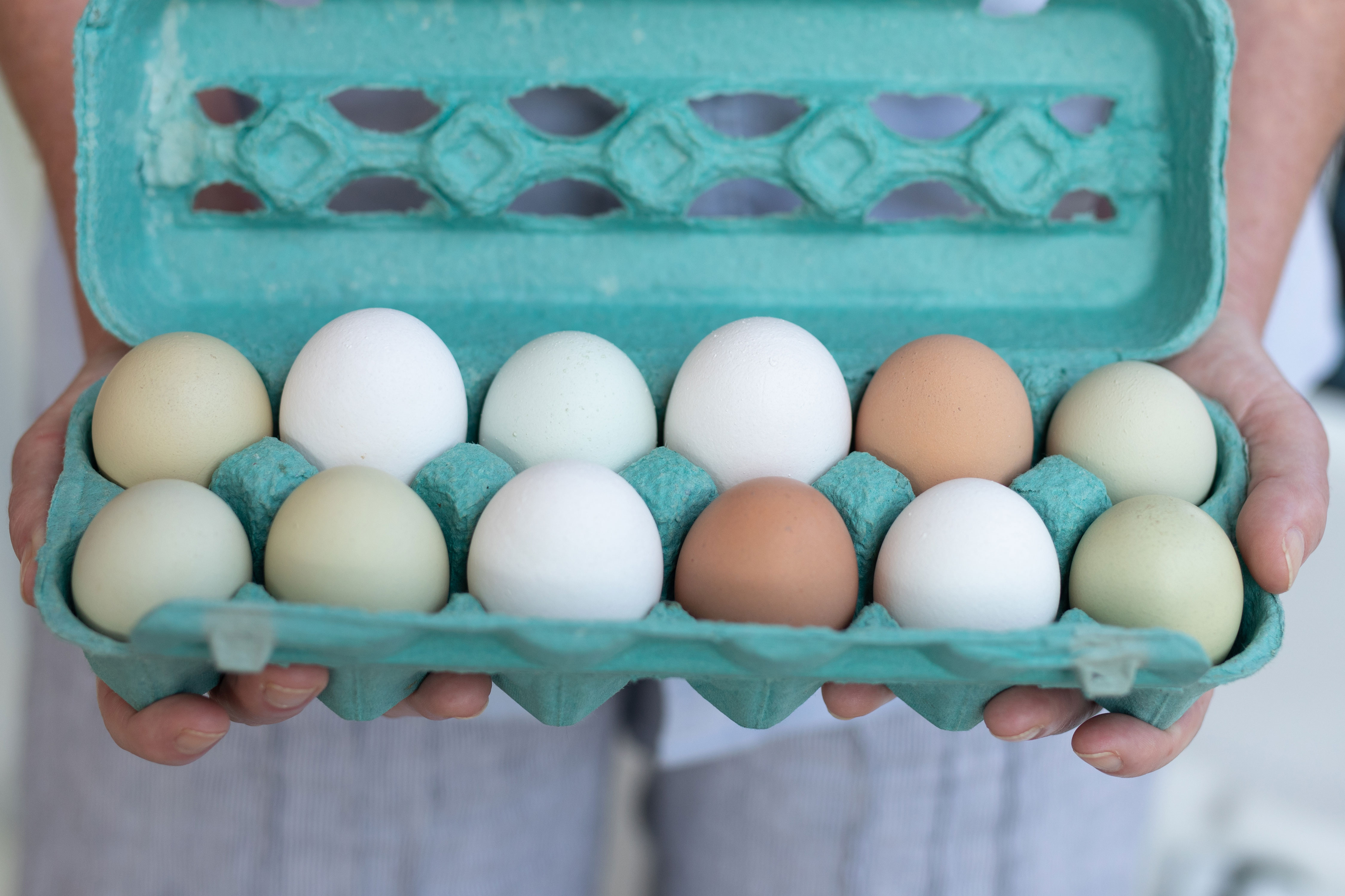 Kentucky Proud Community Supported Agriculture (CSA)