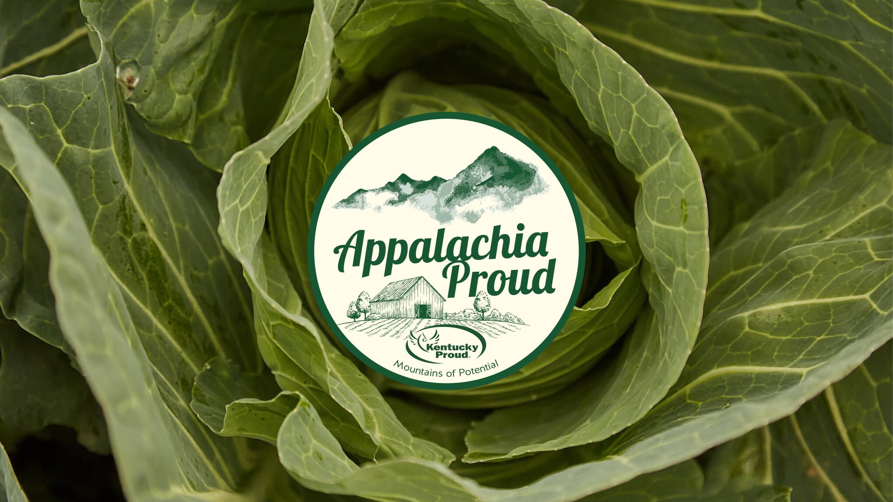 Appalachia Proud