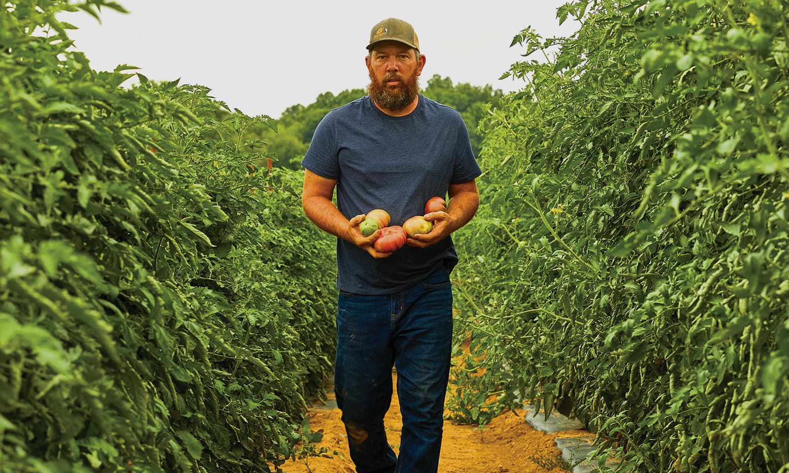 Kentucky Proud members at a farmers market