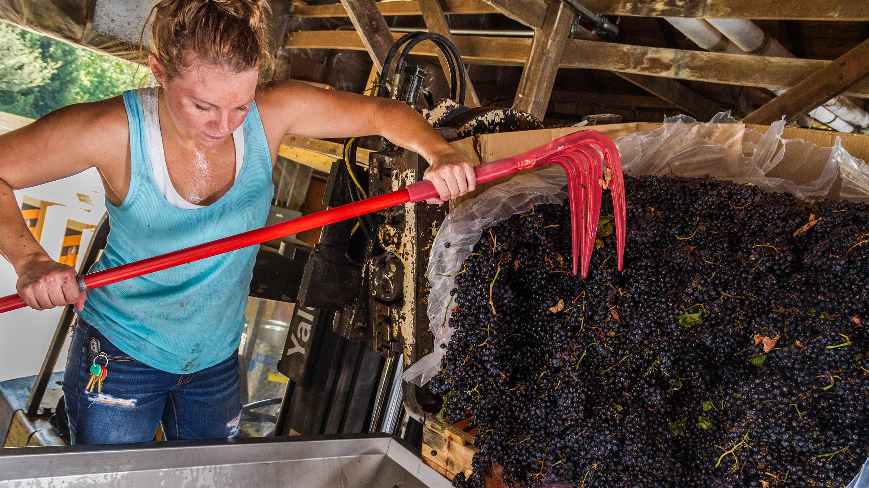 Other Kentucky Proud program resources