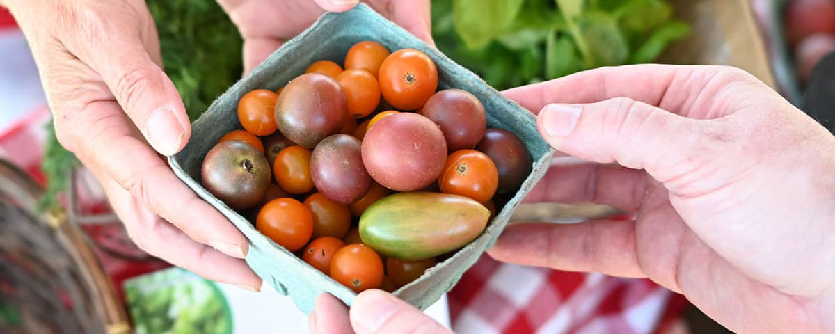 Farmers at Kentucky Proud market handing off grape tomatoes