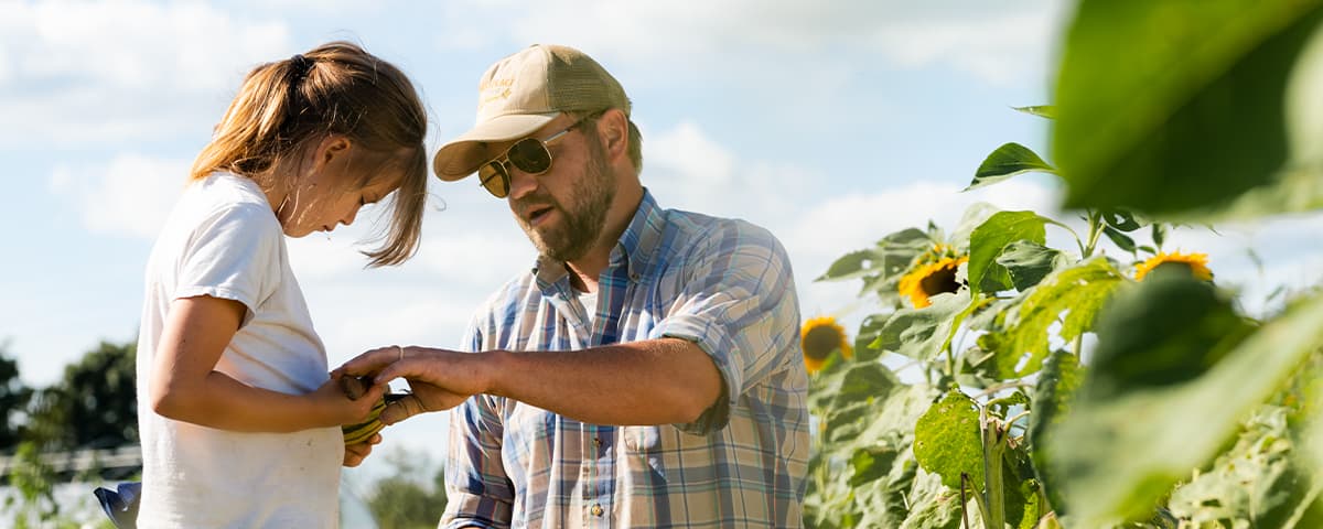Father and daughter in sunflower field Kentucky Proud membership
